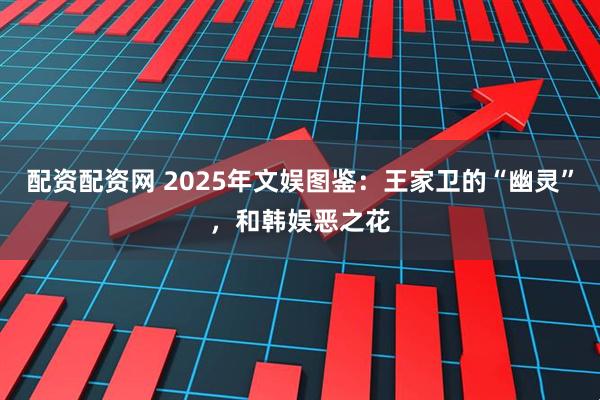 配资配资网 2025年文娱图鉴:王家卫的“幽灵”,和韩娱恶之花