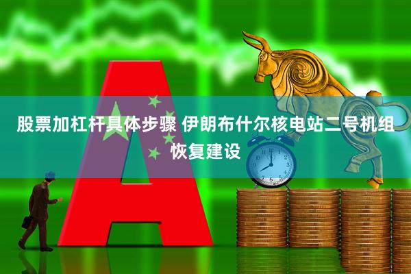 股票加杠杆具体步骤 伊朗布什尔核电站二号机组恢复建设