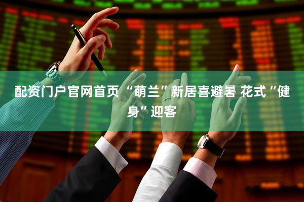 配资门户官网首页 “萌兰”新居喜避暑 花式“健身”迎客